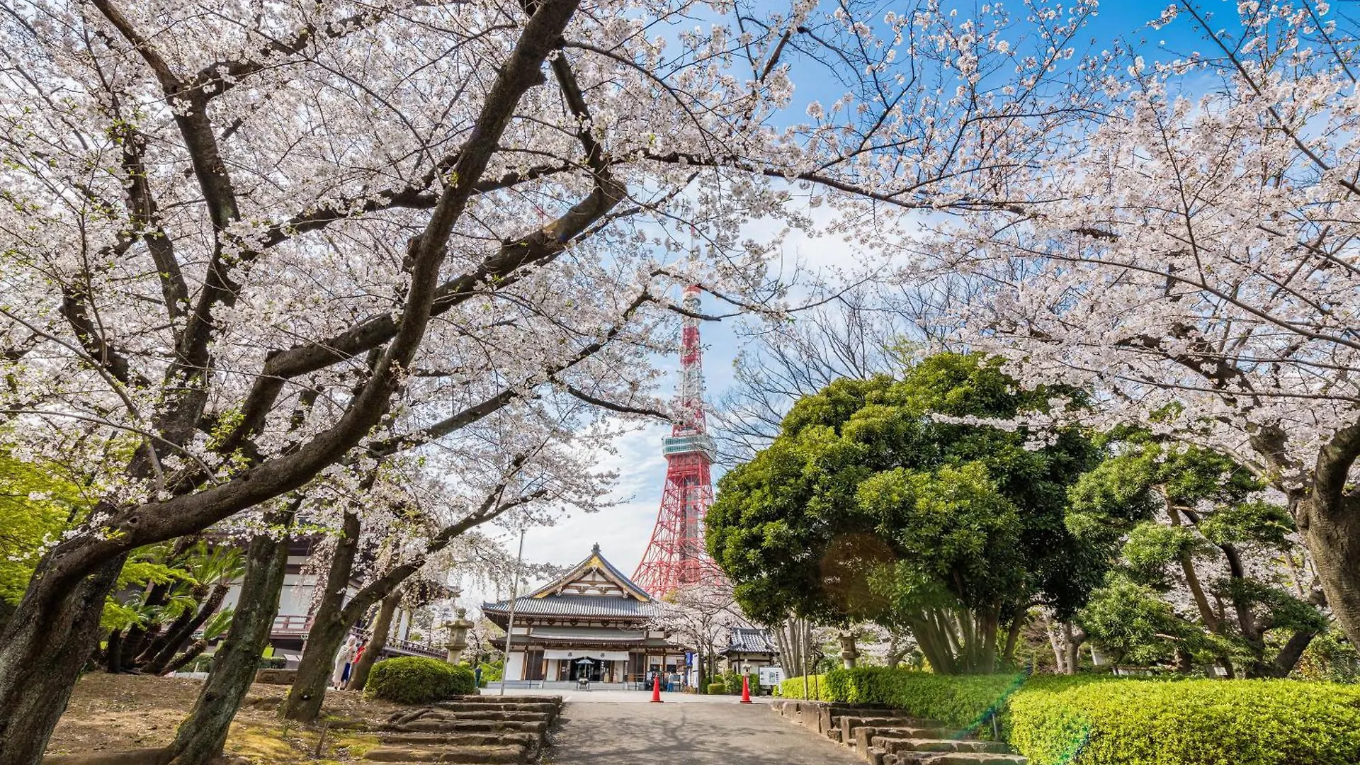Hotel Illi Surp Shiba-Park Prefektura Tokio Japonsko
